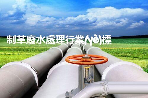 制革廢水處理行業(yè)標(biāo)準(zhǔn)深度解析！如何達(dá)標(biāo)排放又兼顧經(jīng)濟(jì)效益？